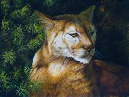 KM – Cougar Painting © Karla Mann