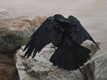KM – Crow Landing © Karla Mann