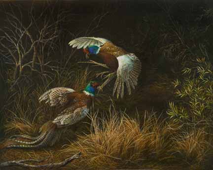 KM – Dueling Pheasants © Karla Mann