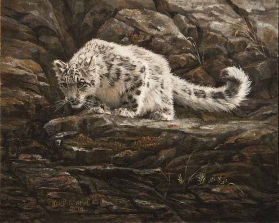 KM – Snow Leopard Cub © Karla Mann