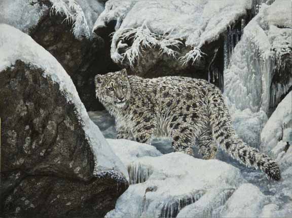 KM – Snow Leopard © Karla Mann