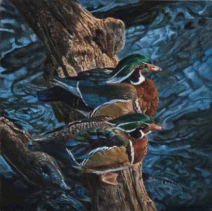 KM – Sunning Wood Ducks © Karla Mann