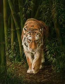 KM – Tiger © Karla Mann
