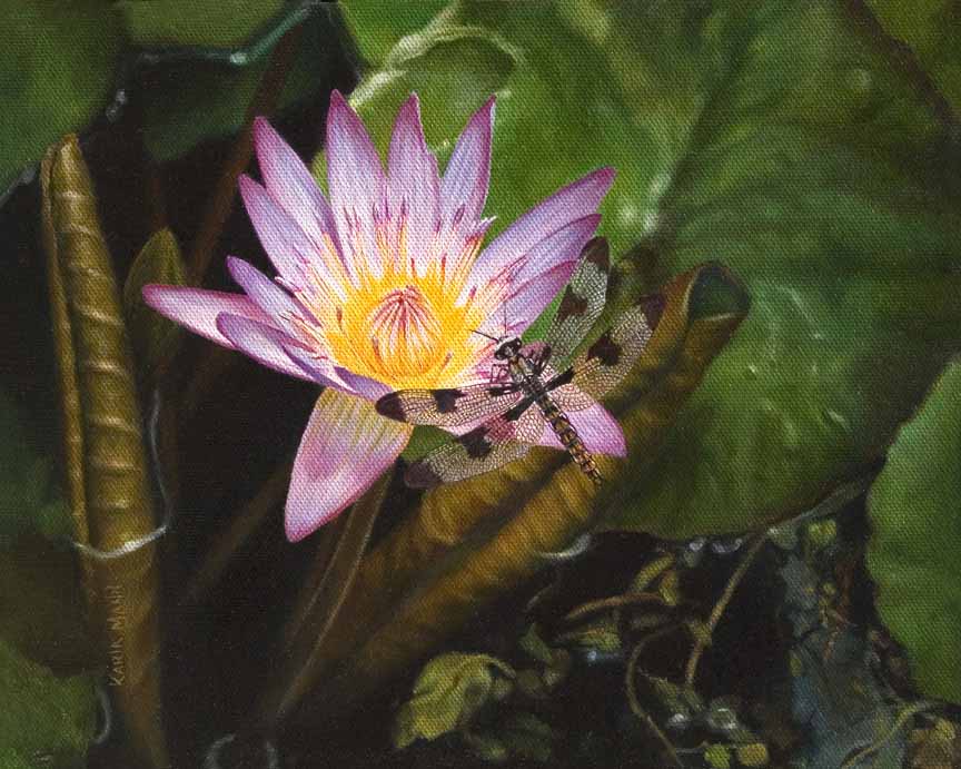 KM – Waterlily and Dragonfly © Karla Mann