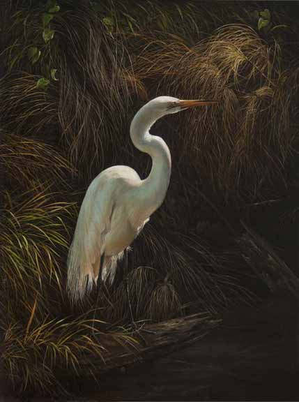 KM – White Egret Queen © Karla Mann