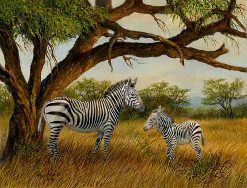 KM – Zebra Outing © Karla Mann