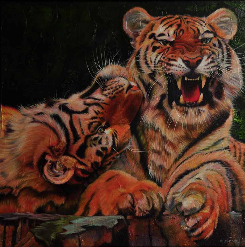 KM2 – Feline Love – Siberian Tigers © Kelly McNeil