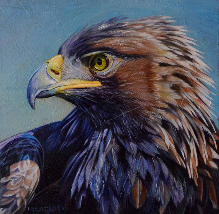 KM2 – Golden Eagle © Kelly McNeil