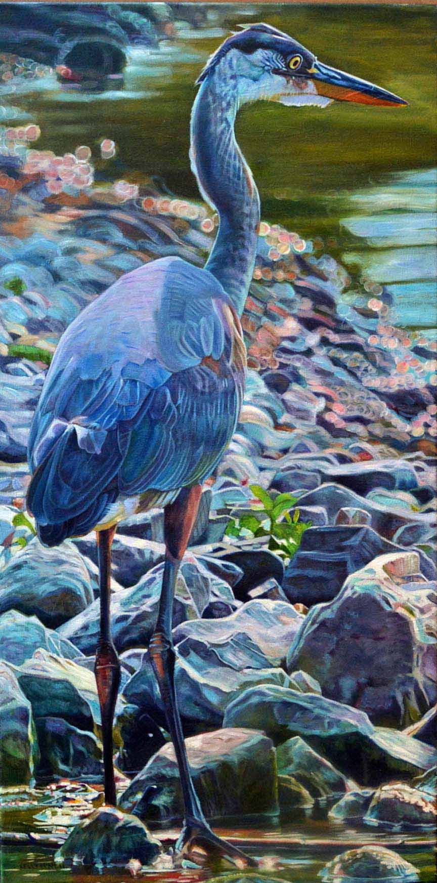KM2 – Great Blue Heron © Kelly McNeil