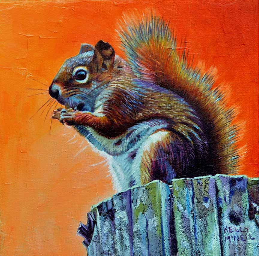 KM2 – Little Red Squirrel © Kelly McNeil