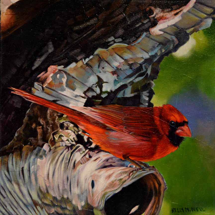 KM2 – Scarlet Song Bird © Kelly McNeil