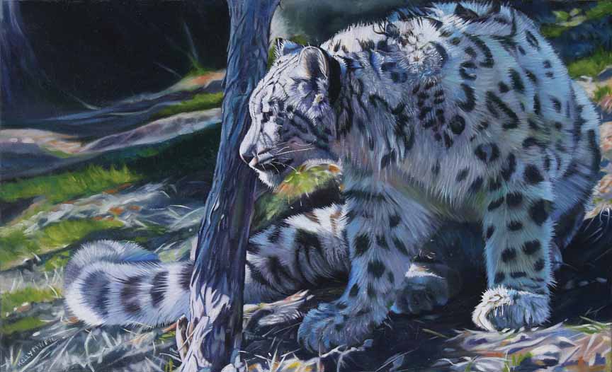 KM2 – Snow Leopard © Kelly McNeil