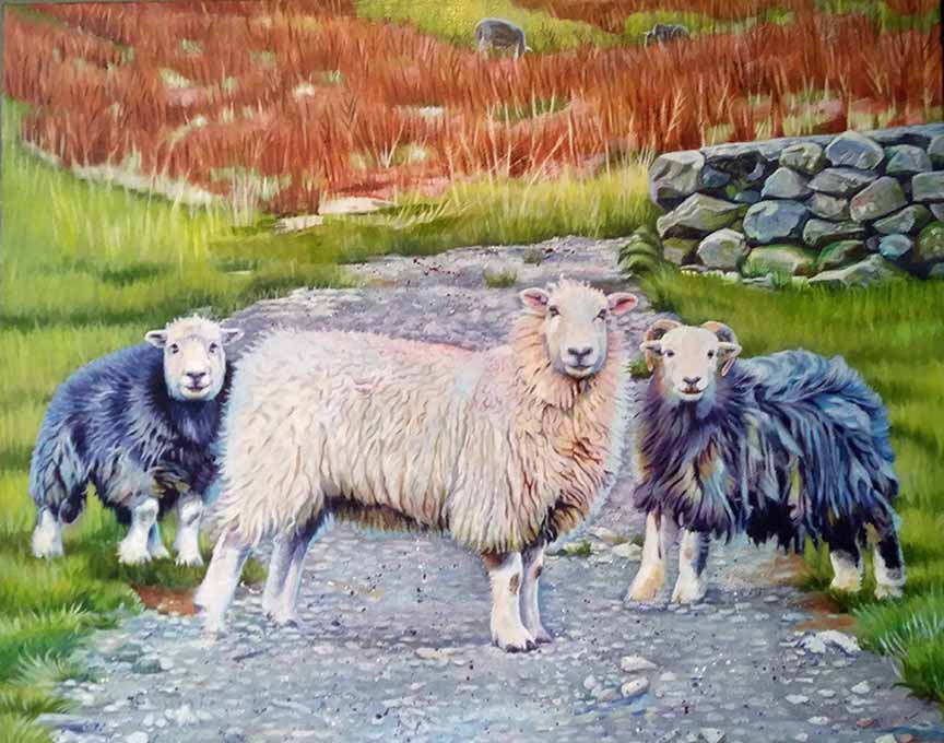 KM2 – Three Sheep © Kelly McNeil