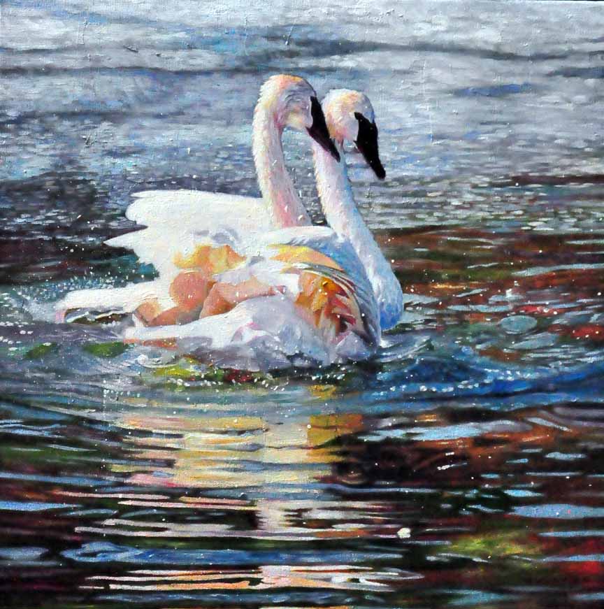 KM2 – Two Swans in Love 2 © Kelly McNeil