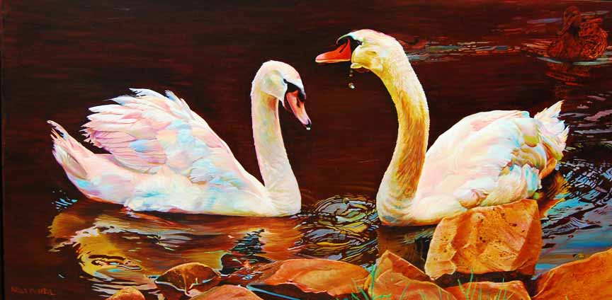 KM2 – Two Swans in Love © Kelly McNeil