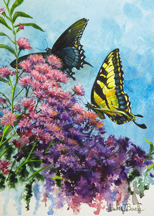 LB – Butterflies – Iron Weed Butterflies 1926 C © Luke Buck