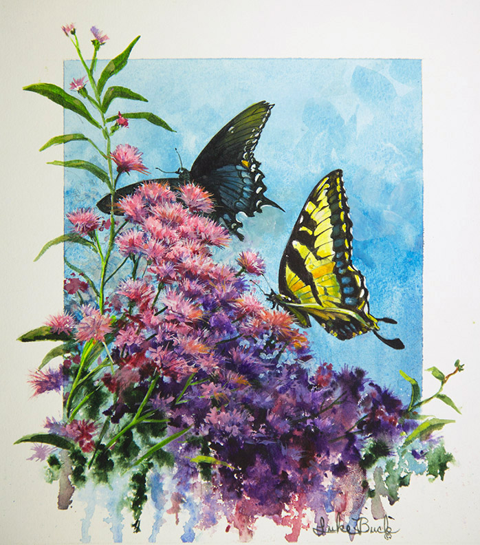 LB – Butterflies – Iron Weed Butterflies 1926 © Luke Buck