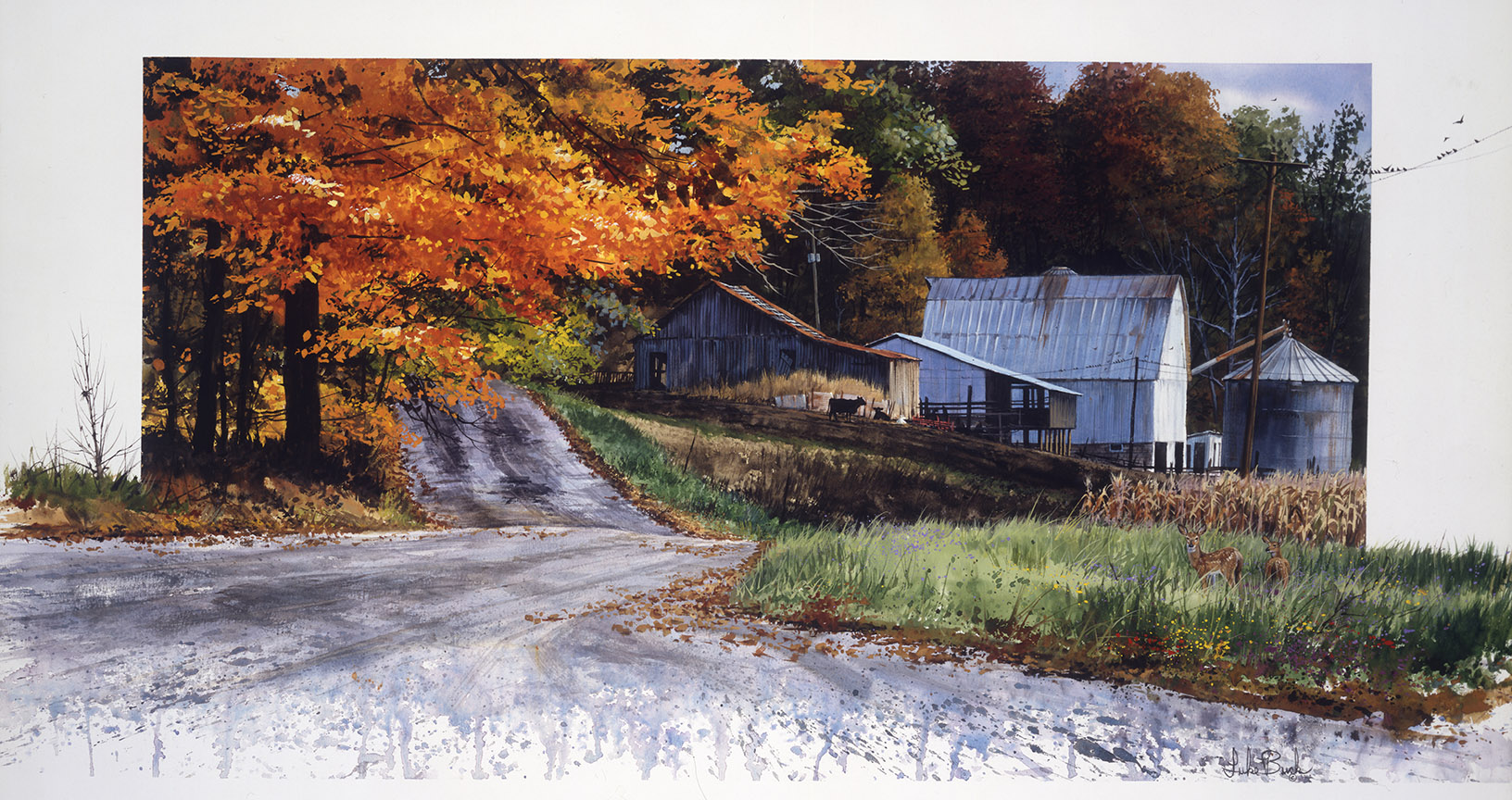 LB – Rural America – A Country Road 9711 © Luke Buck