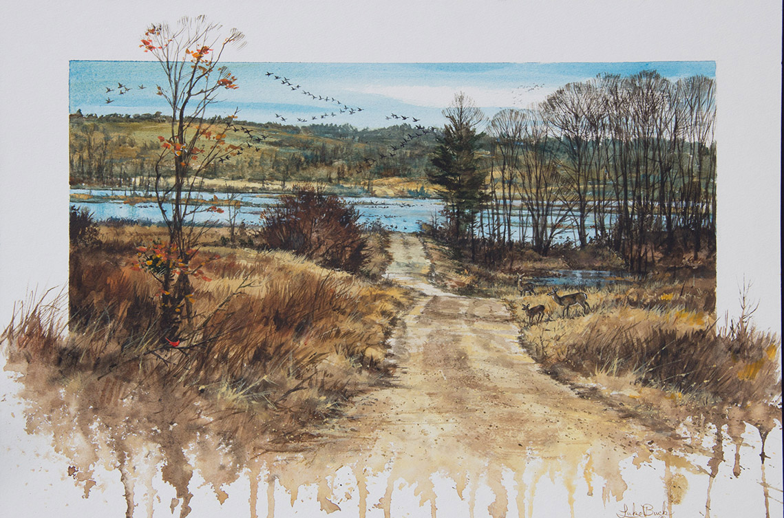 LB – Rural America – Back Road To Goose Pond 1945 © Luke Buck