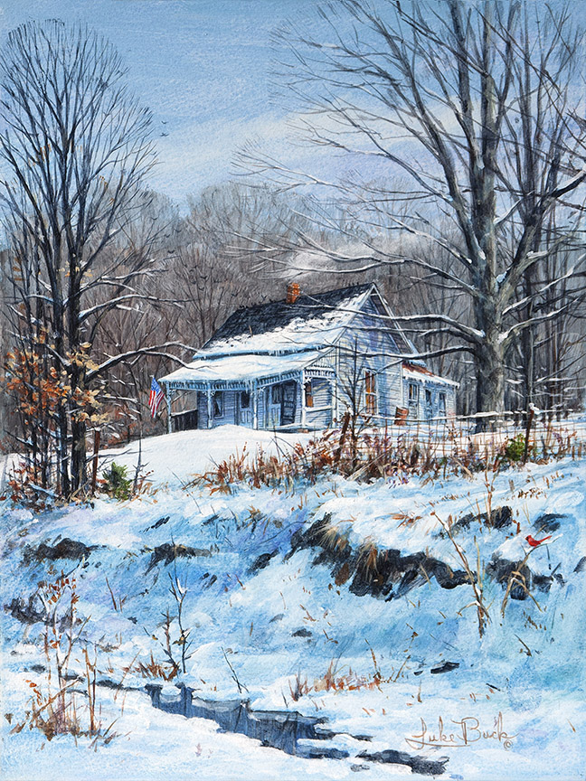 LB – Rural America – Cozy Home 1136 © Luke Buck