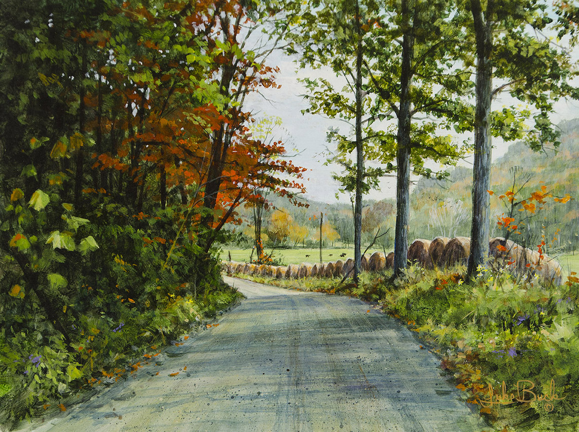 LB – Rural America – Hay Roll Road 1233 © Luke Buck