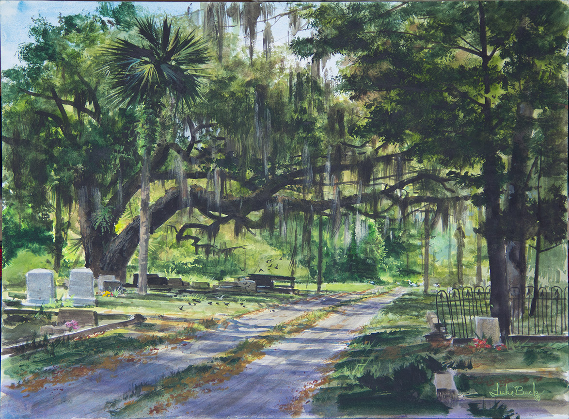 LB – Rural America – Magnolia Oak 1712 © Luke Buck