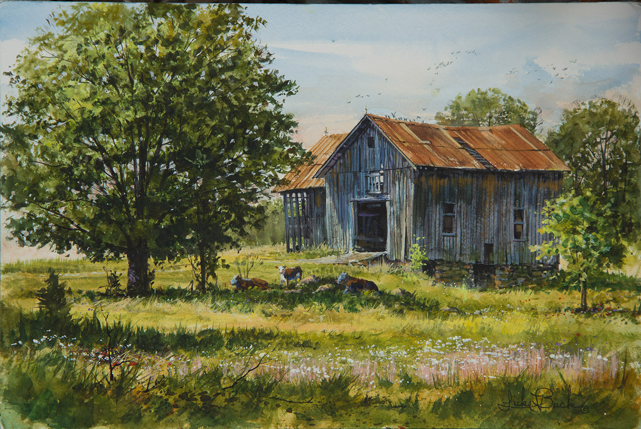 LB – Rural America – Summer Comfort 1434 © Luke Buck
