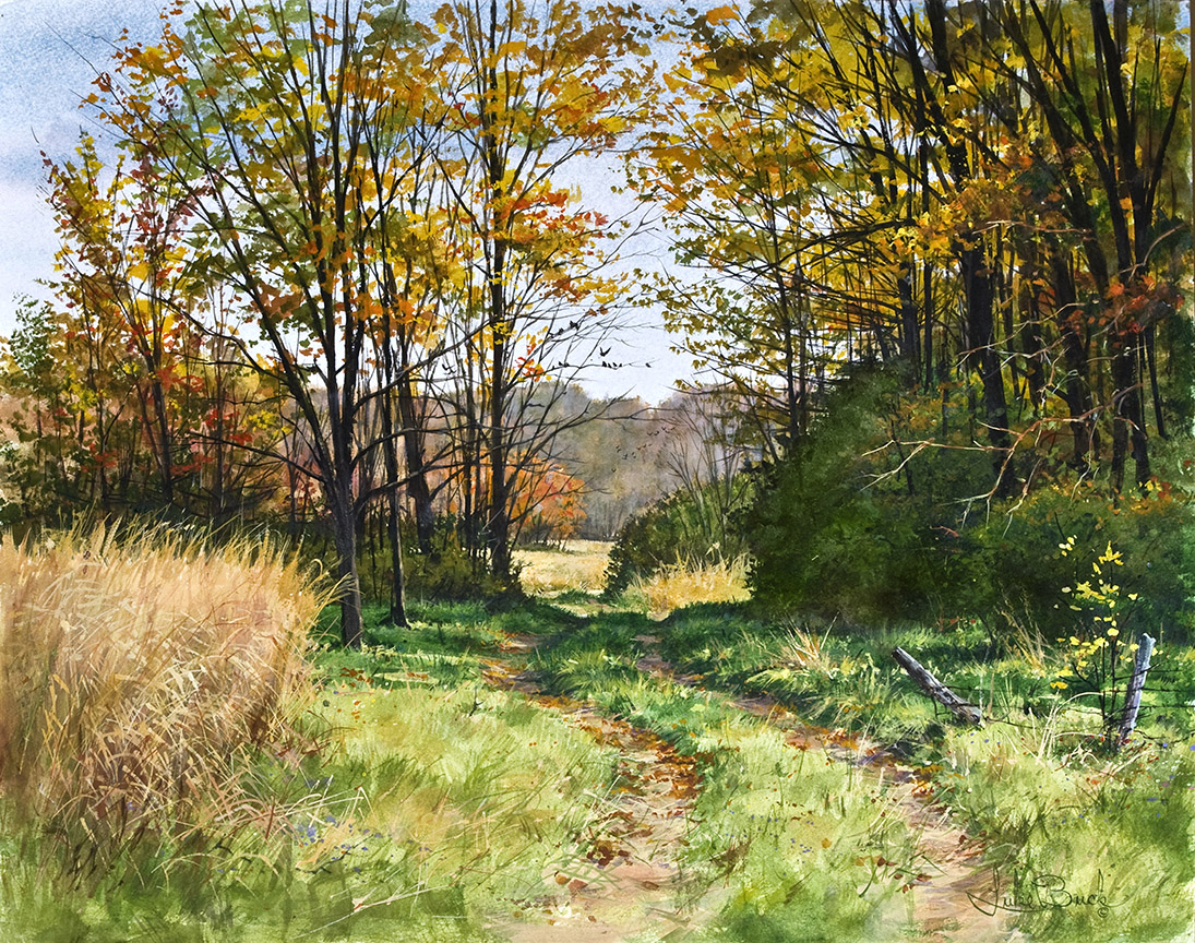LB – Rural America – The Lane to the Meadow 1001 © Luke Buck