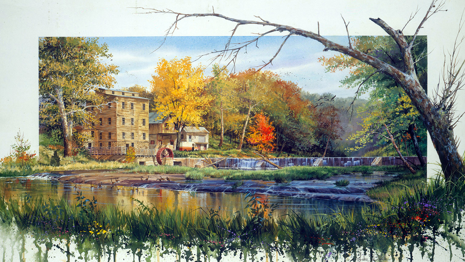 LB – Rural America – The Old Mill Pond © Luke Buck