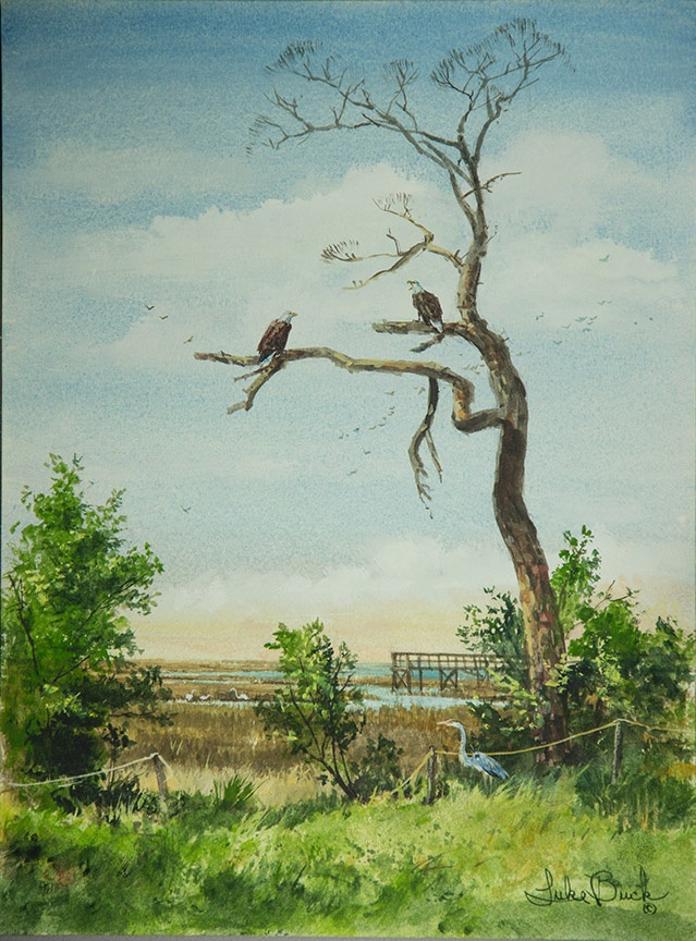 LB – Rural America – The Tree By The Bay 1806 © Luke Buck