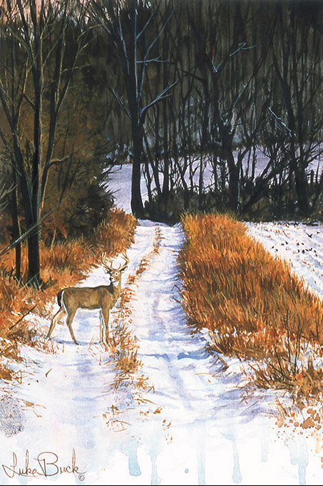 LB – Rural America – Winter Warmth 0232 C © Luke Buck