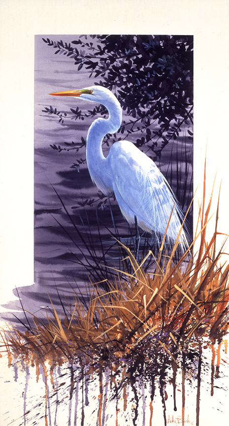 LB – Shorebirds – Royal Dignity – Great Egret © Luke Buck
