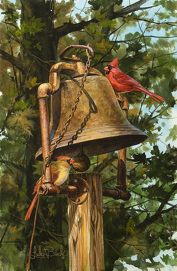 LB – Songbirds – Red Ringers 0634 © Luke Buck