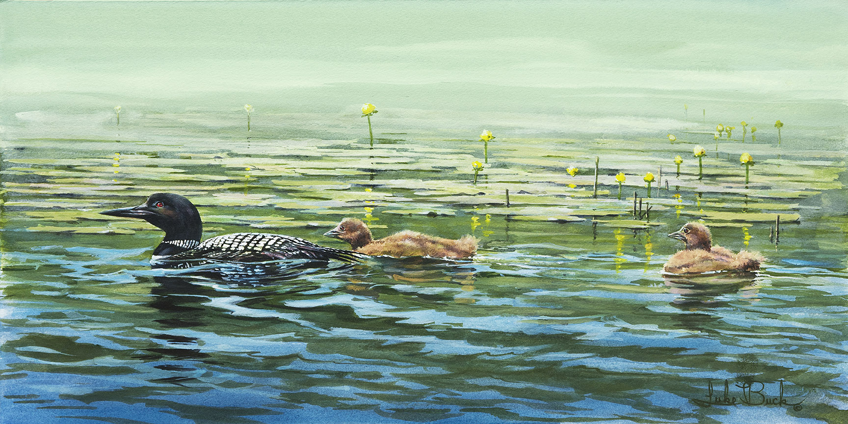 LB – Waterfowl – Keeping Up With Momma 1038 © Luke Buck