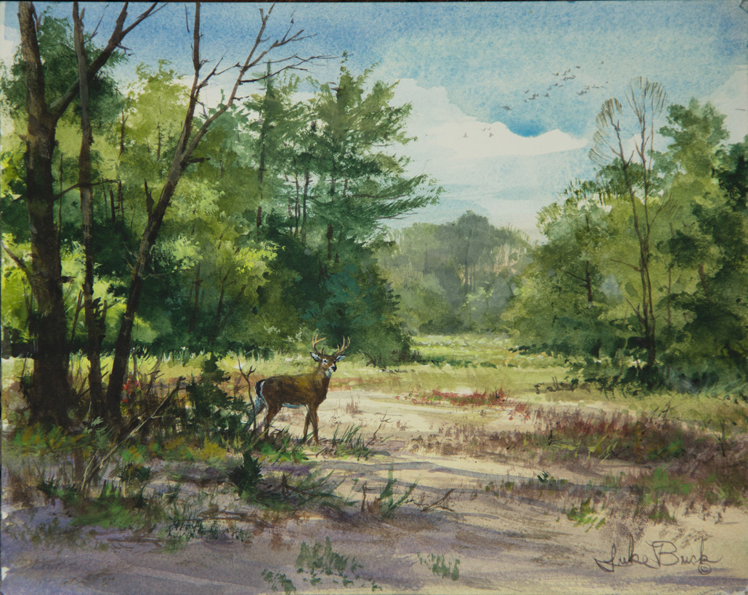 LB – Wildlife – Through The Meadow 1716 © Luke Buck