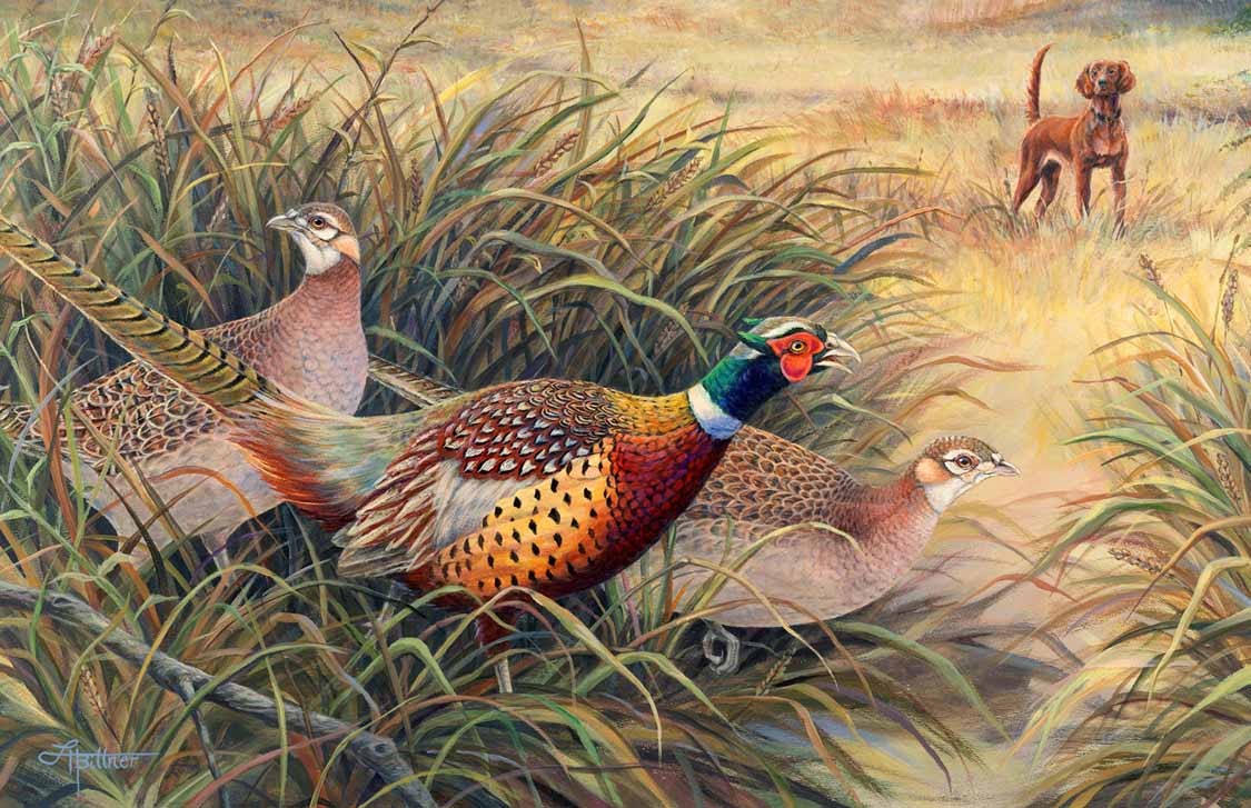 LHB – Pheasants and Red Setter © Linda Howard Bittner