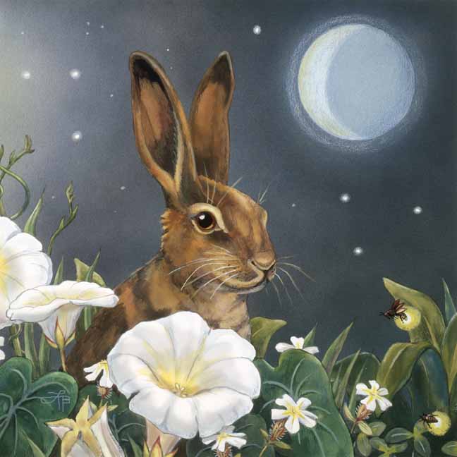 LHB – Rabbit © Linda Howard Bittner