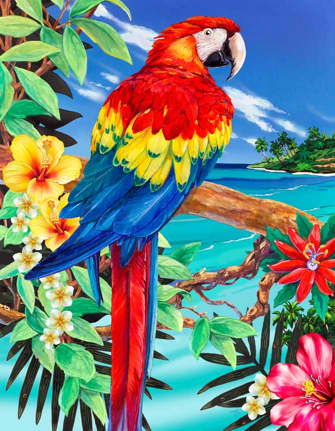 LHB – Scarlet Macaw © Linda Howard Bittner