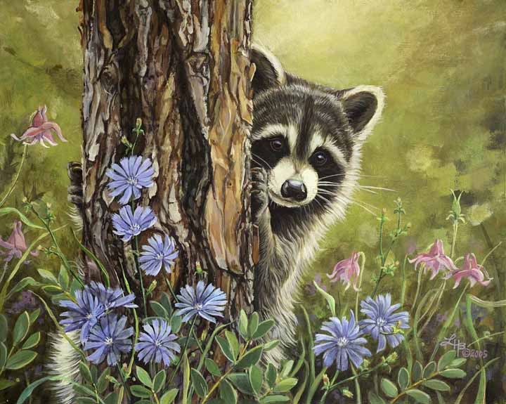 LHB – Secret Admirer – Raccoon © Linda Howard Bittner