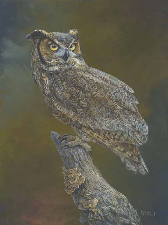 LMF – Above Inferno – Great Horned Owl © Laura Mark-Finberg