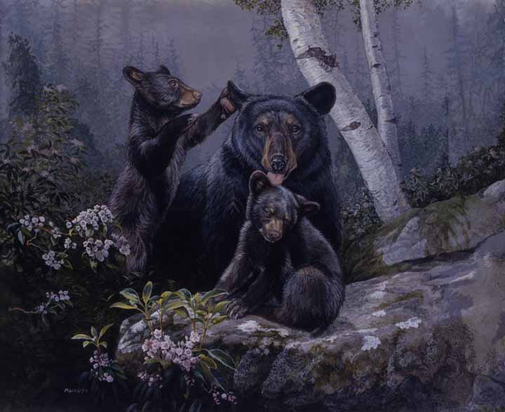 LMF – Birch Bears © Laura Mark-Finberg
