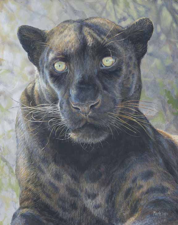 LMF – Black Leopard © Laura Mark-Finberg