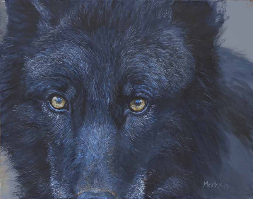 LMF – Black Wolf © Laura Mark-Finberg