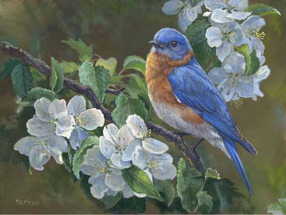 LMF – Bluebird and Blossom © Laura Mark-Finberg