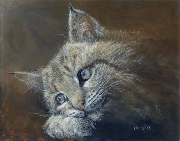 LMF – Bobcat Innocence © Laura Mark-Finberg