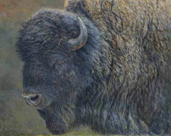 LMF – Buffalo 2 © Laura Mark-Finberg