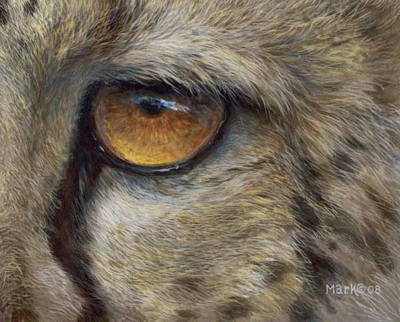 LMF – Cheetah Eye © Laura Mark-Finberg