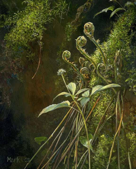 LMF – Fiddle Leaf Ferns © Laura Mark-Finberg