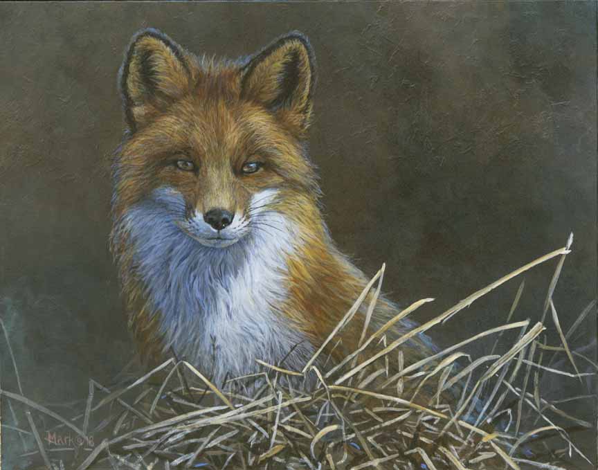 LMF – Fox in Field © Laura Mark-Finberg
