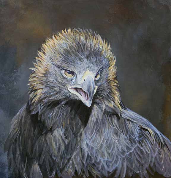 LMF – Golden Eagle 1 © Laura Mark-Finberg